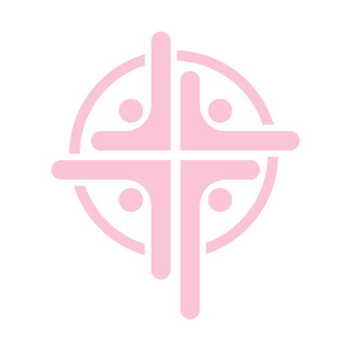 logo-HolyLink_512x512-ghost-2